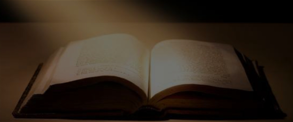 Diplomado en Biblia